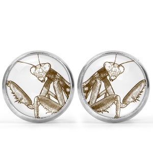 Preying Mantis  Picture Earrings