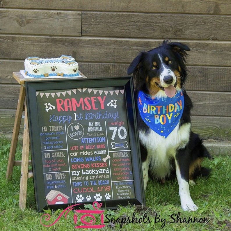 Dog Birthday Chalkboard Signpuppy Dog Dog Bones Printable Etsy