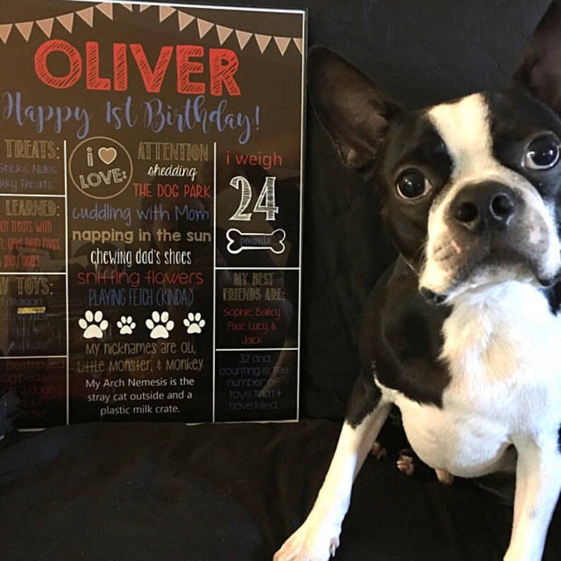 Dog Birthday Chalkboard Signpuppy Dog Dog Bones Printable Etsy