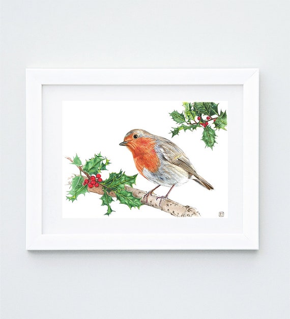 Stunning Christmas Woodland Robin Bird Scarf Wrap Great Gift