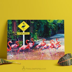 Póster Stop Flamant: póster de un grupo de flamencos cruzando la calle con una señal de tráfico CAMARGUE en modo australiano