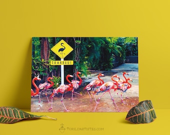 Stop Flamant poster - poster of a group of flamingos crossing the road with a CAMARGUE road sign in Australian mode