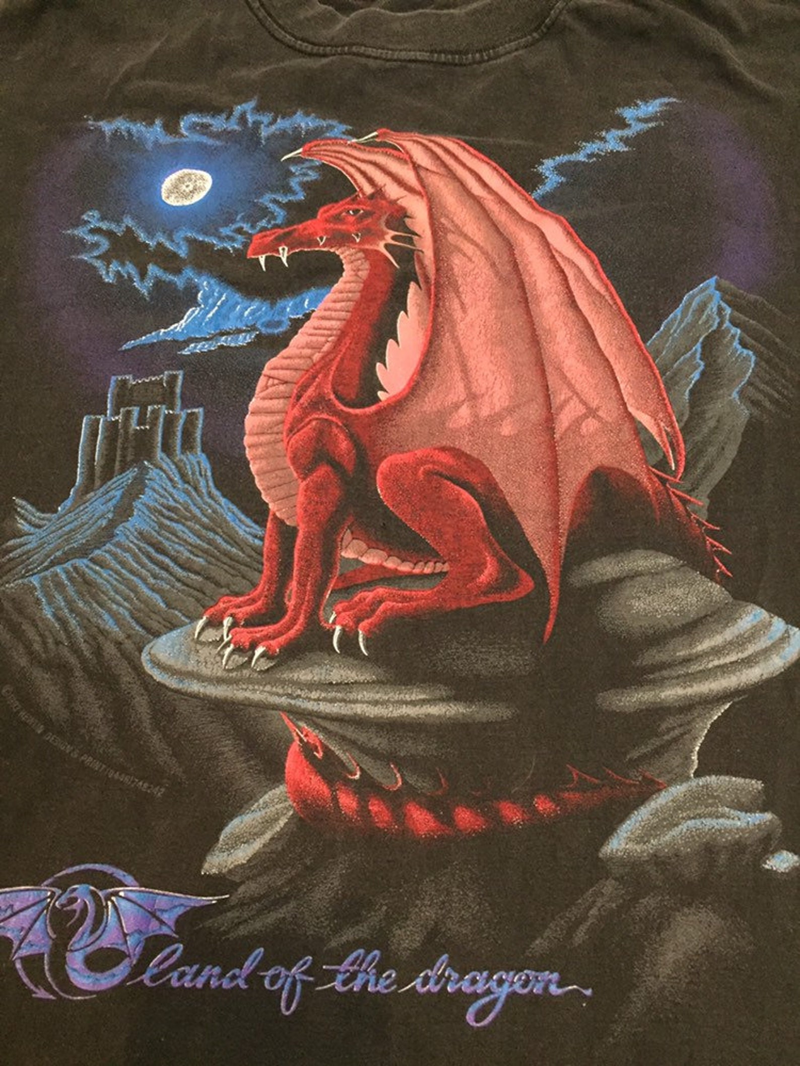 Vintage 90s Dungeons and Dragons Land of the Dragon T Shirt - Etsy