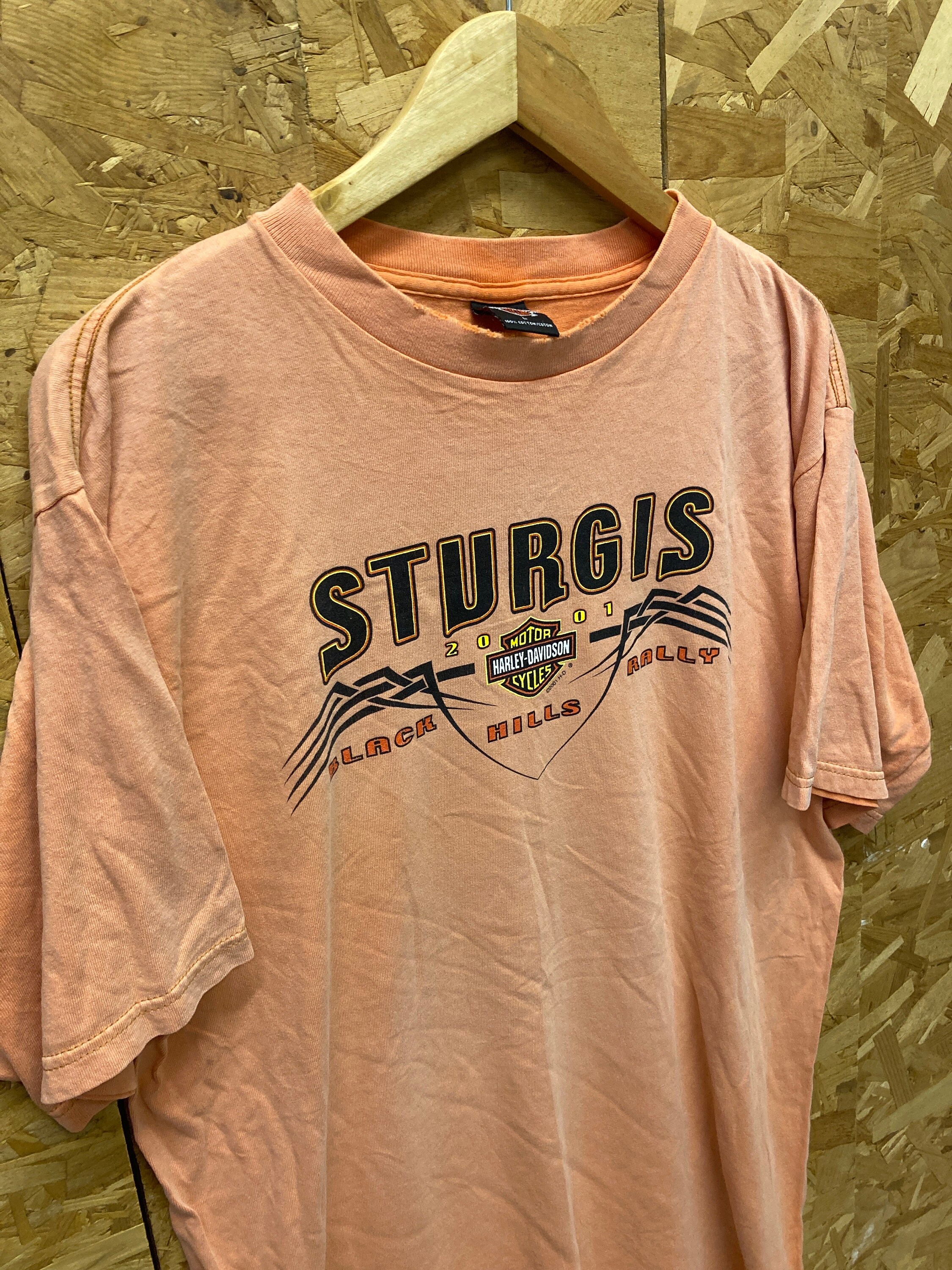 Vintage 90s Harley Davidson Sturgis Rally T-shirt, Distressed