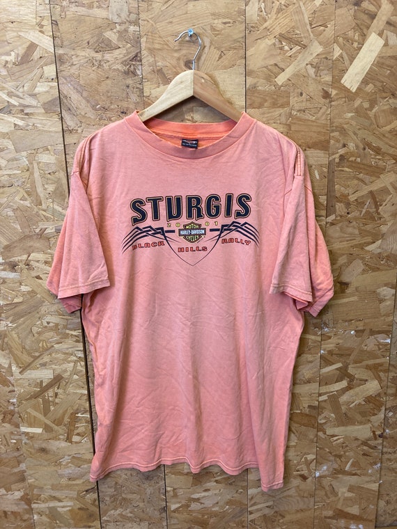 Vintage 90s Harley Davidson Sturgis Rally T-shirt, Distressed