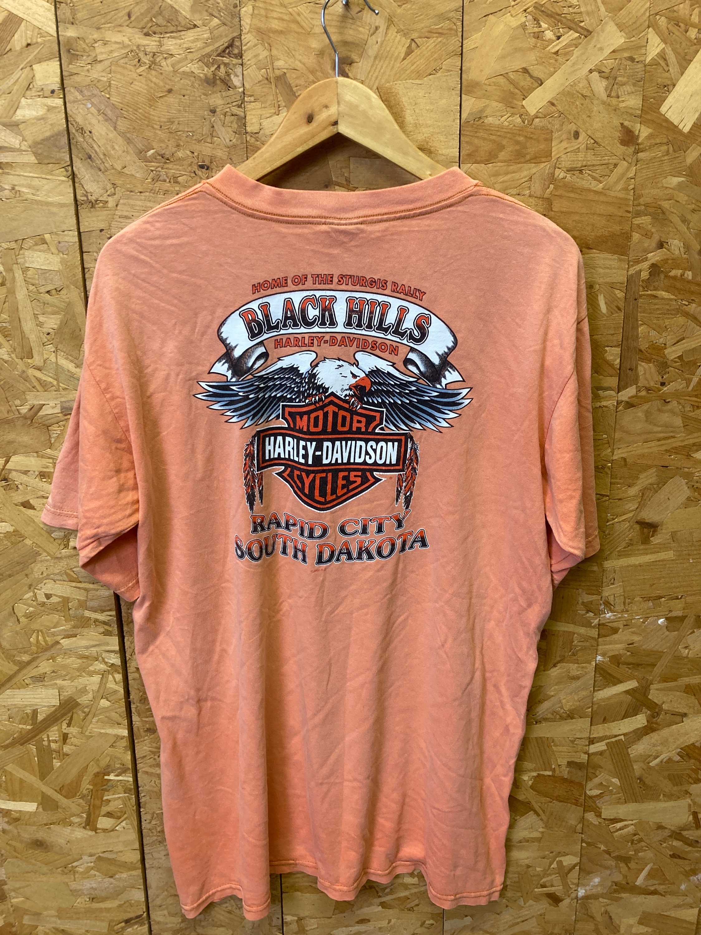 Vintage 90s Harley Davidson Sturgis Rally T-shirt, Distressed