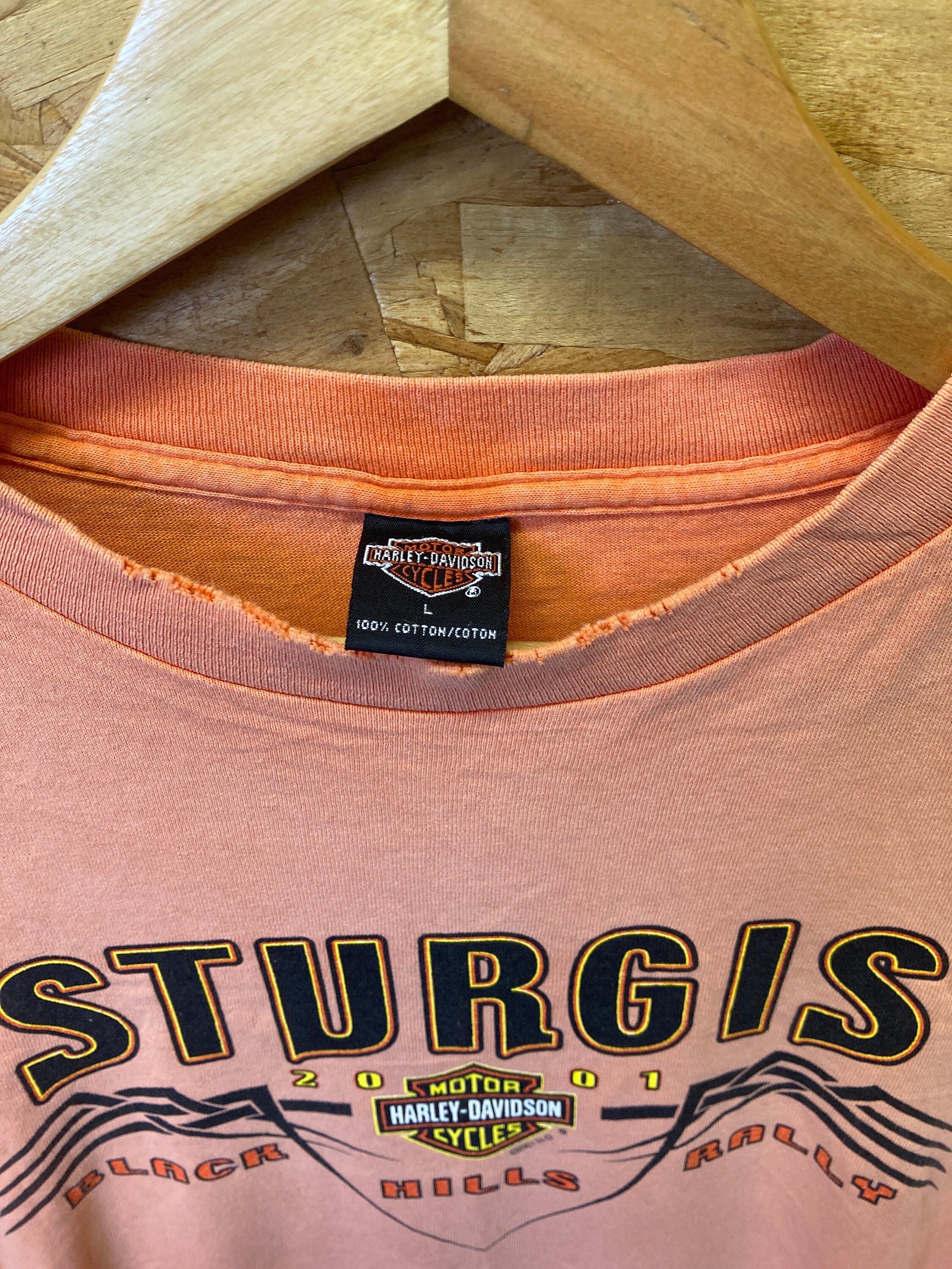 Vintage 90s Harley Davidson Sturgis Rally T-shirt, Distressed