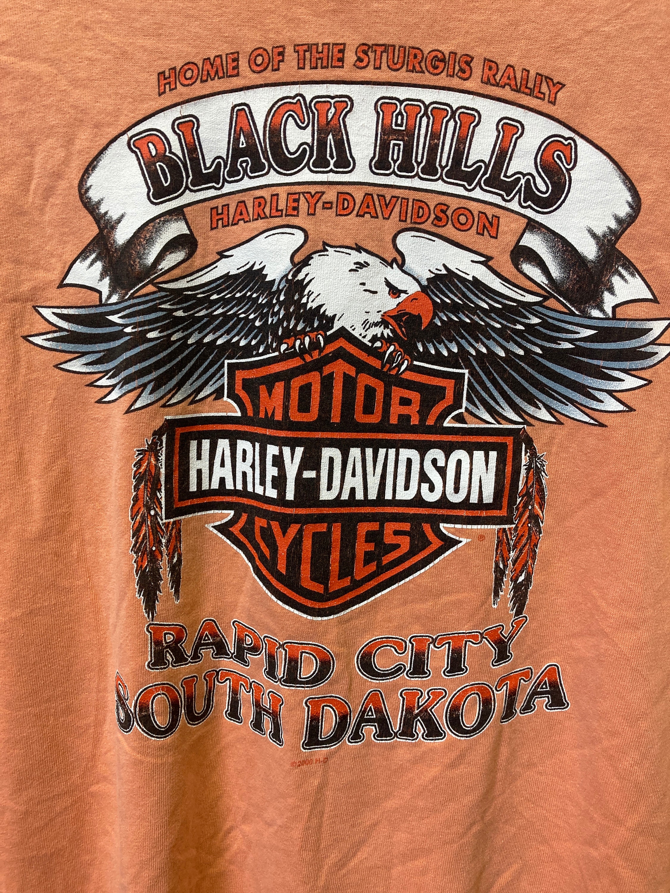 Vintage 90s Harley Davidson Sturgis Rally T-shirt, Distressed