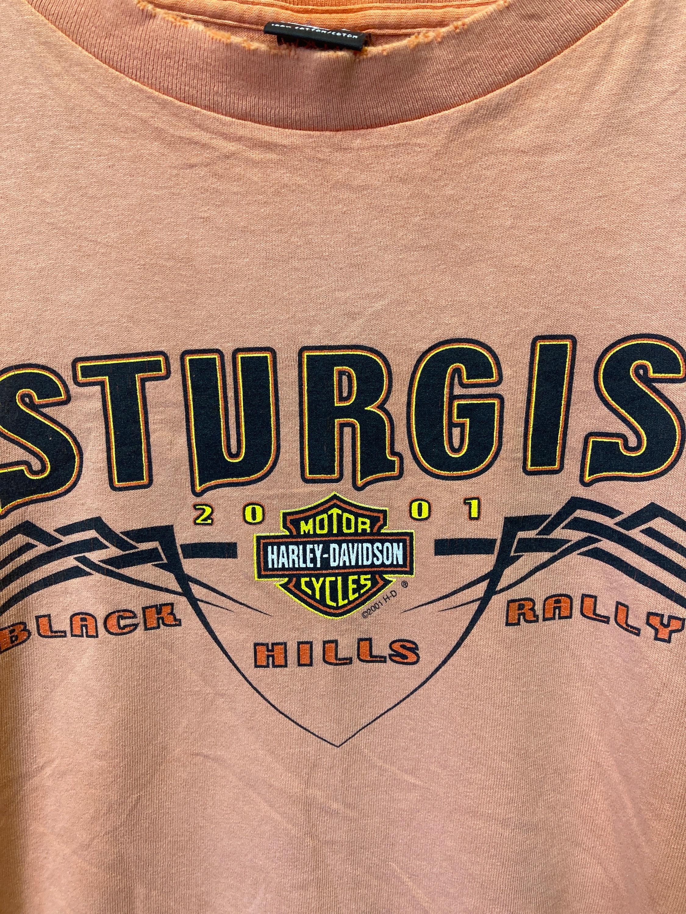 Vintage 90s Harley Davidson Sturgis Rally T-shirt, Distressed
