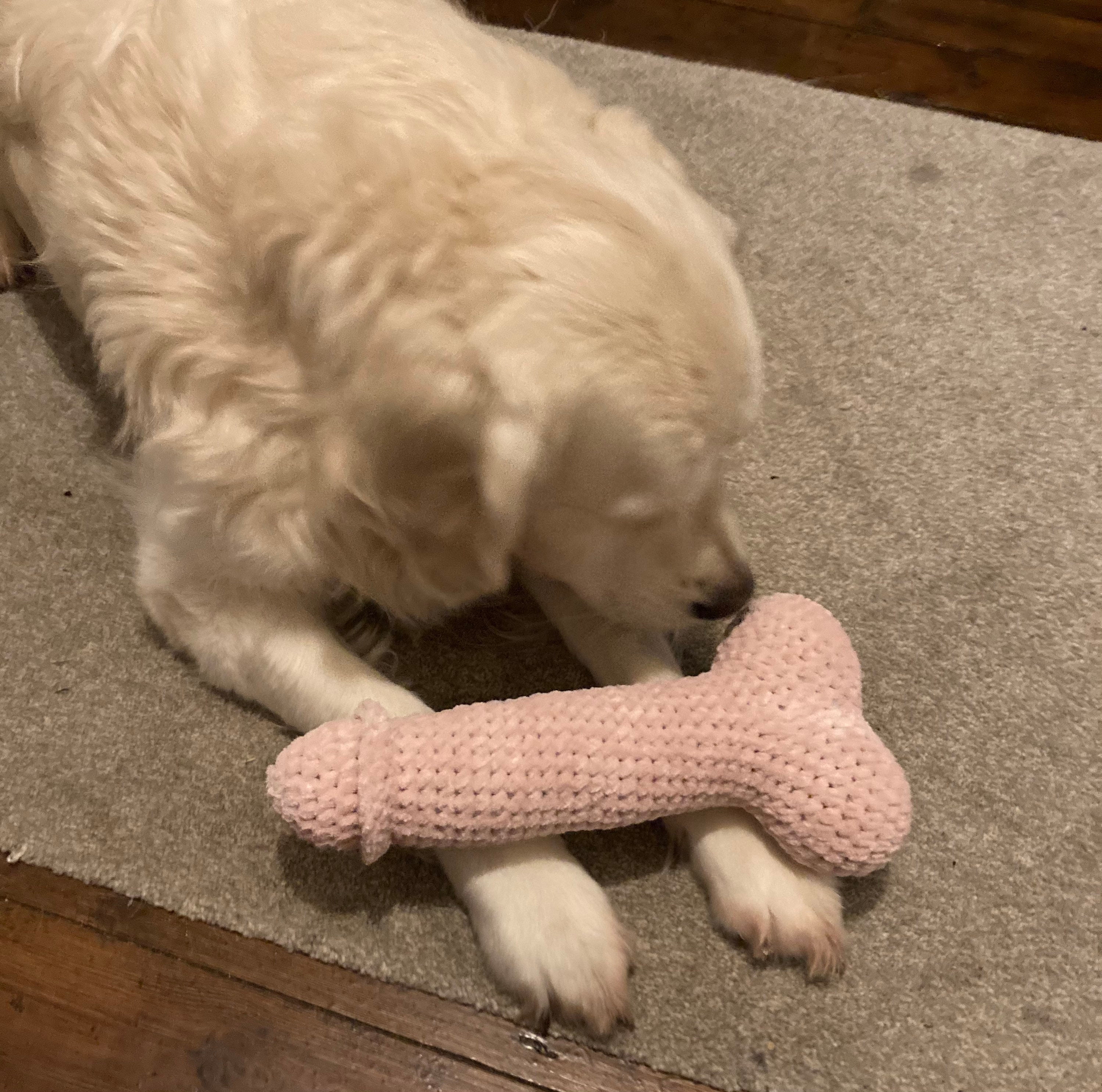 Giant Penis Dog Toy Crochet Penis Valentines Present for - Etsy Australia