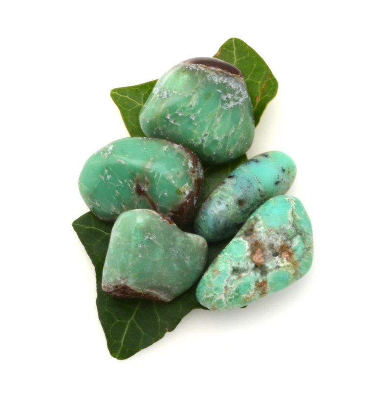 Chrysoprase tumbled stones choose your piece green | Etsy