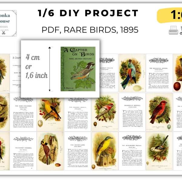 DIY Rare Birds 1895 book Miniature, PDF Instant download, mini book, Nature book, Vintage old retro 24 pages prop book 1:6 digital library