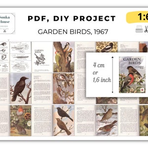 May include: A DIY project for creating a garden bird book. The project includes a 1:6 scale image of a book cover with the title "Garden Birds, A  Life-Sized Book". The image also includes a measurement guide showing 4 cm or 1.6 inches.