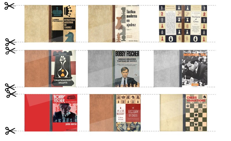May include: A collection of vintage chess books with covers featuring chess pieces, chess boards, and portraits of famous chess players. The books are in various languages, including English, Spanish, Russian, and Portuguese.