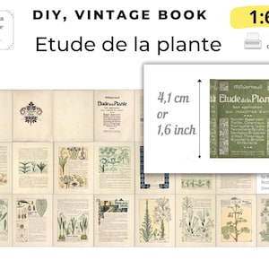 1:6 Scale Miniature Book PDF – Etude de la Plante – Antique Victorian Botanical Book 1902 – Dollhouse Printable DIY