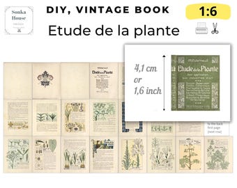 1:6 Scale Miniature Book PDF – Etude de la Plante – Antique Victorian Botanical Book 1902 – Dollhouse Printable DIY