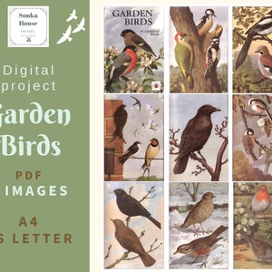 PDF Garden Birds, vintage boek, oude retro, digitaal collageblad, kaarten, A4, US Letter, 9 afbeeldingen, direct downloaden, Scrapbooking 300 dpi