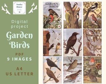 May include: A digital download of 9 images featuring vintage illustrations of garden birds. The images are in a PDF format and are available in A4 and US Letter sizes. The images feature a variety of birds, including robins, sparrows, and bluebirds.