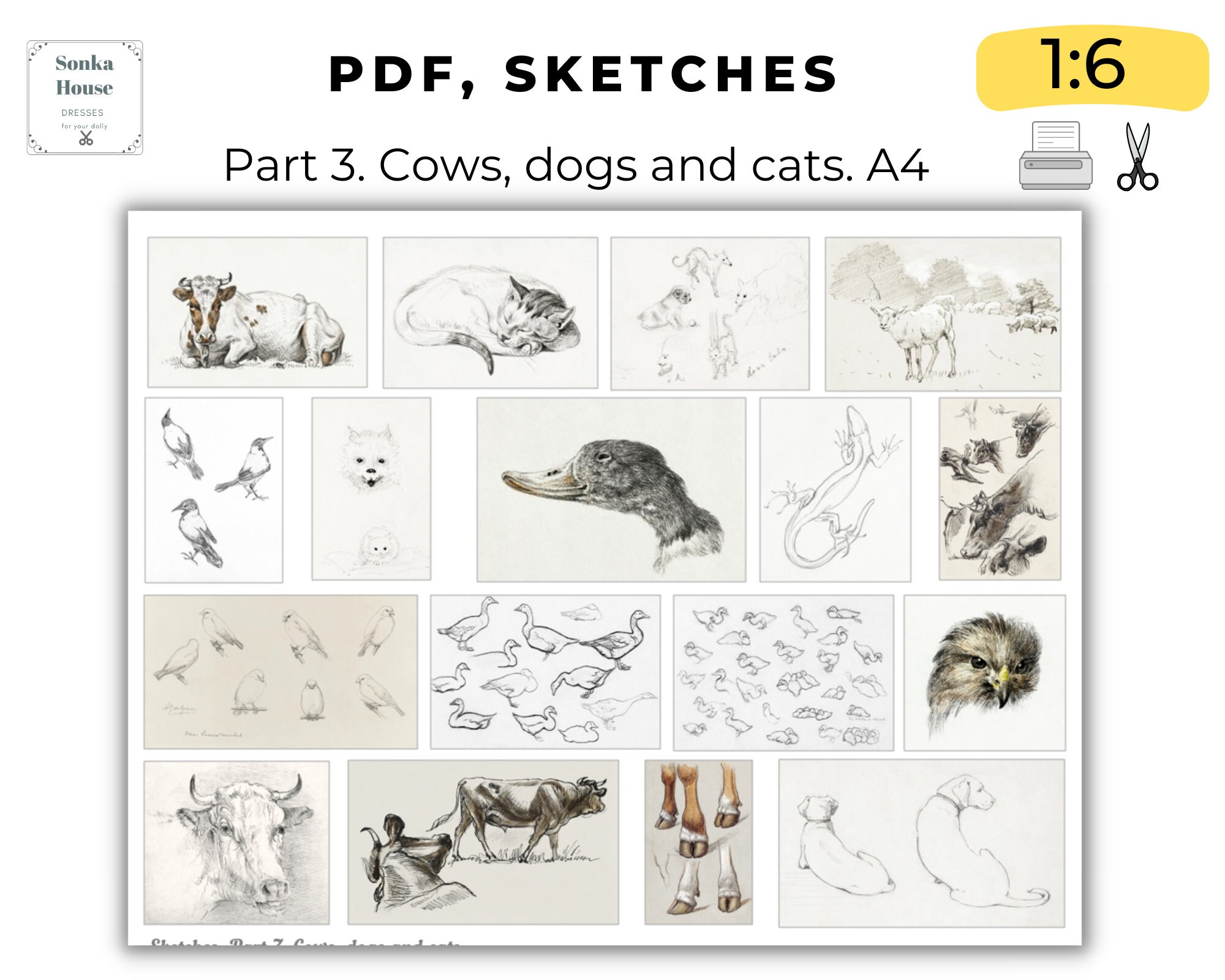 DIY PDF Sketches, Drawings, Outline Flowers, Animals, Trees, Peoples ...