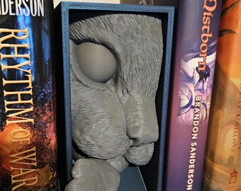 Playful Cat Book Nook!