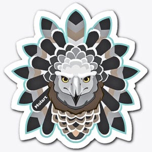 May include: A sticker featuring a stylized illustration of a bird of prey with a black, white, and brown feathered headdress. The bird's eyes are yellow, and its beak is black. The sticker has a teal blue outline.