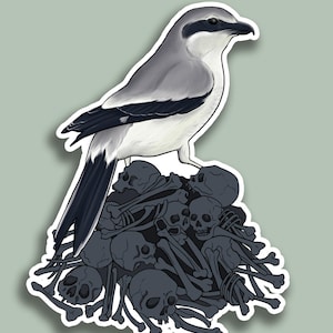 May include: A sticker featuring a stylized bird with gray and black feathers perched atop a pile of skulls and bones. The bird has a black beak and a black stripe across its eyes. The background is a muted green.