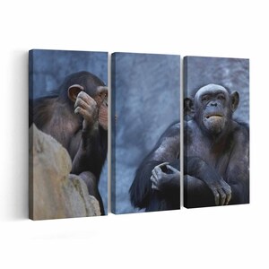 Chimpanzee Canvas print || Chimpanzee Wall Art || Chimpanzee Poster || Chimpanzee home decor || Chimpanzee Print