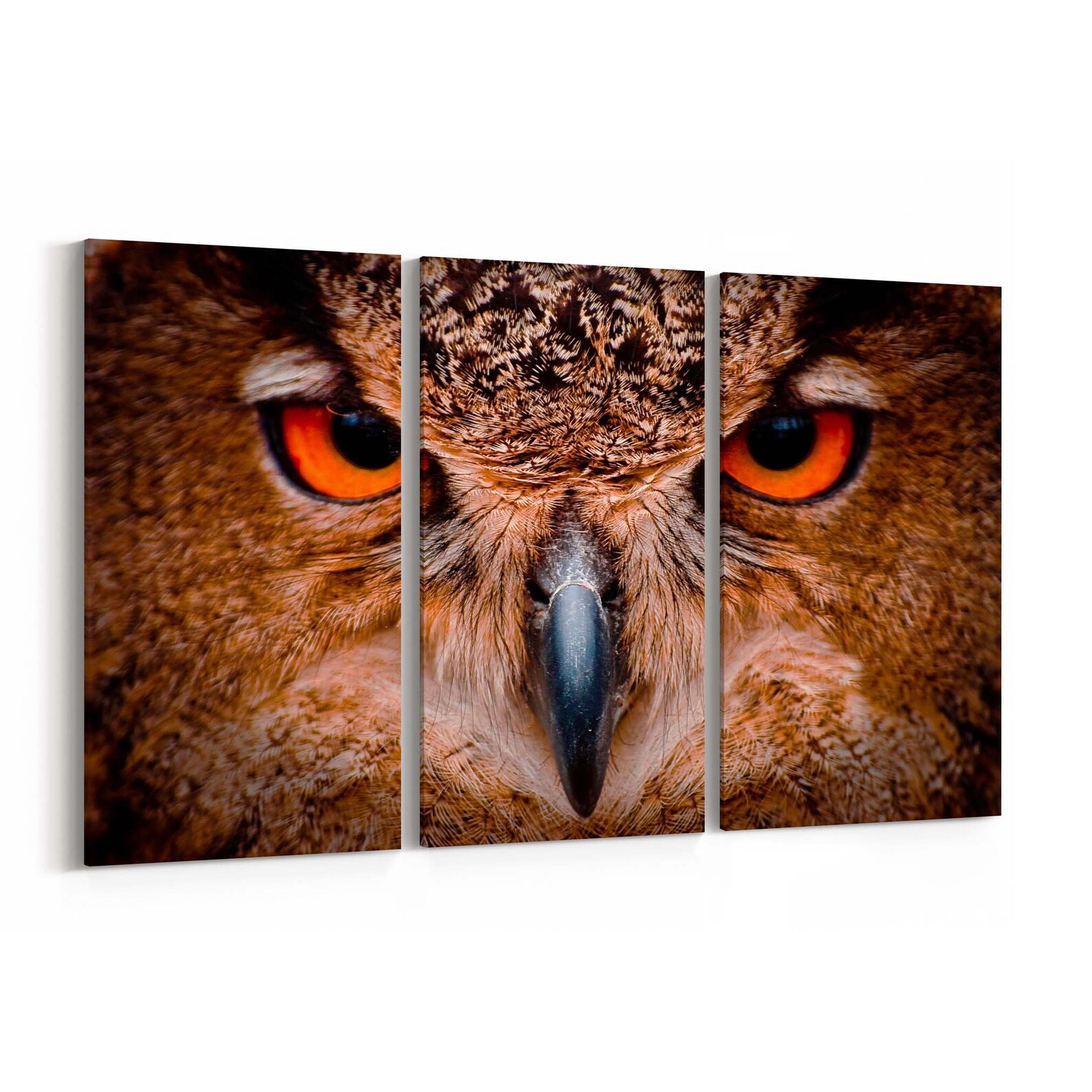 Owl Eyes Canvas Print Owl Eyes Wall Art Canvas Multiple Sizes Etsy