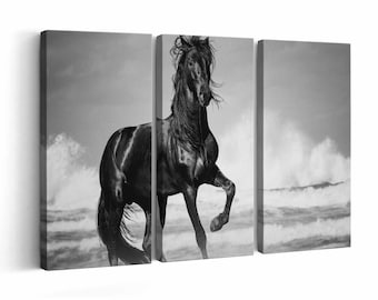 Black Horse | Canvas Print or Poster (framed) | Color / Black & White
