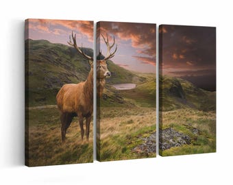 Deer Stag wall art | Canvas or Poster Print (framed) | Color / Black & White