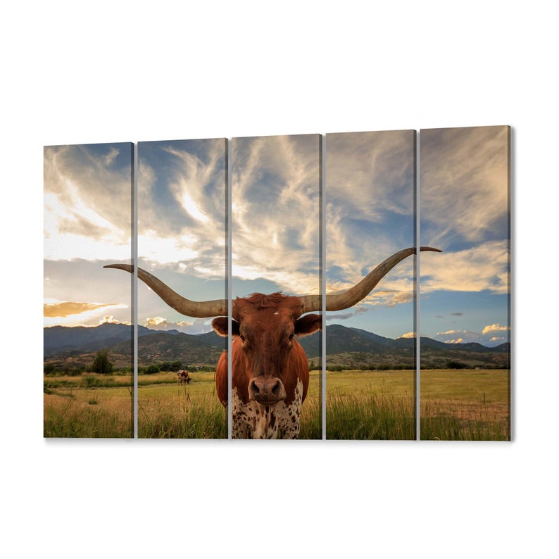 Texas Longhorn Canvas Print Texas Longhorn Wall Art Canvas