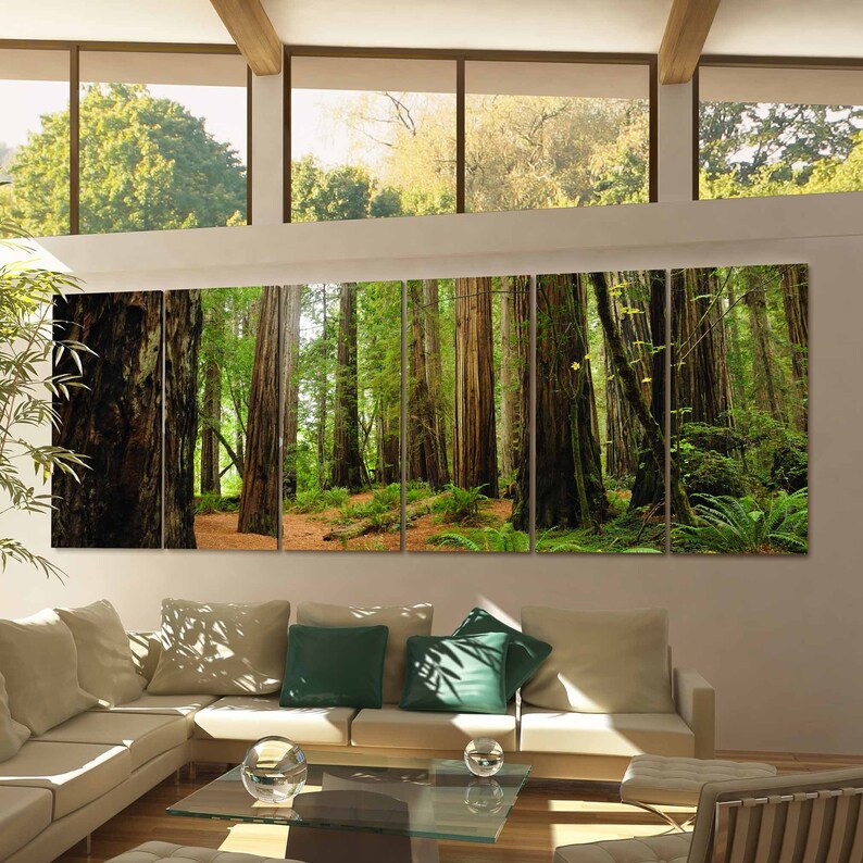 Redwood National Park Canvas Print Redwood National Park Wall Etsy
