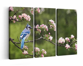 Bluejay wall art | Canvas or Poster Print (framed) | Color / Black & White