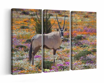Oryx in Flowers | Canvas or Poster Print (framed) | Color / Black & White