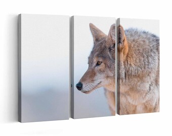 Coyote wall art | Canvas or Poster Print (framed) | Color / Black & White