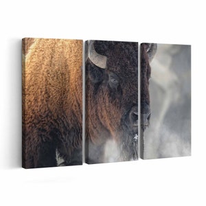 American Bison Canvas Print American Bison Wall Art Canvas Multiple Sizes Wrapped Canvas on Wooden Frame
