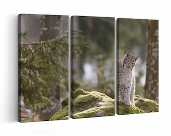 Lynx wall art | Canvas or Poster Print (framed) | Color / Black & White