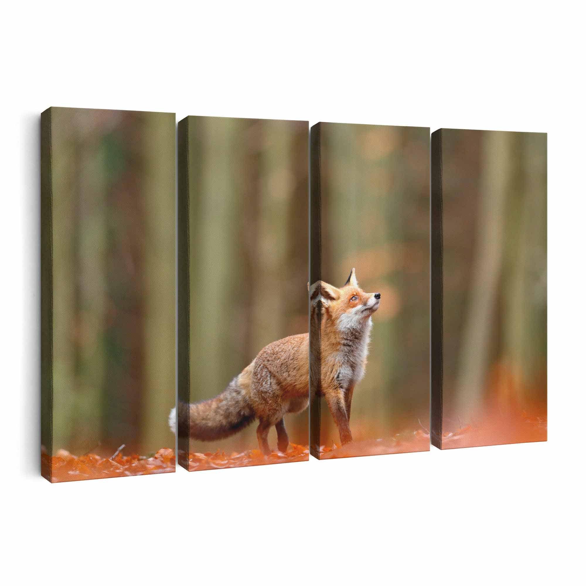 Red Fox Wall Art | Canvas or Poster Print (framed) | Color / Black