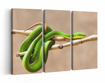 Viper wall art | Canvas or Poster Print (framed) | Color / Black & White