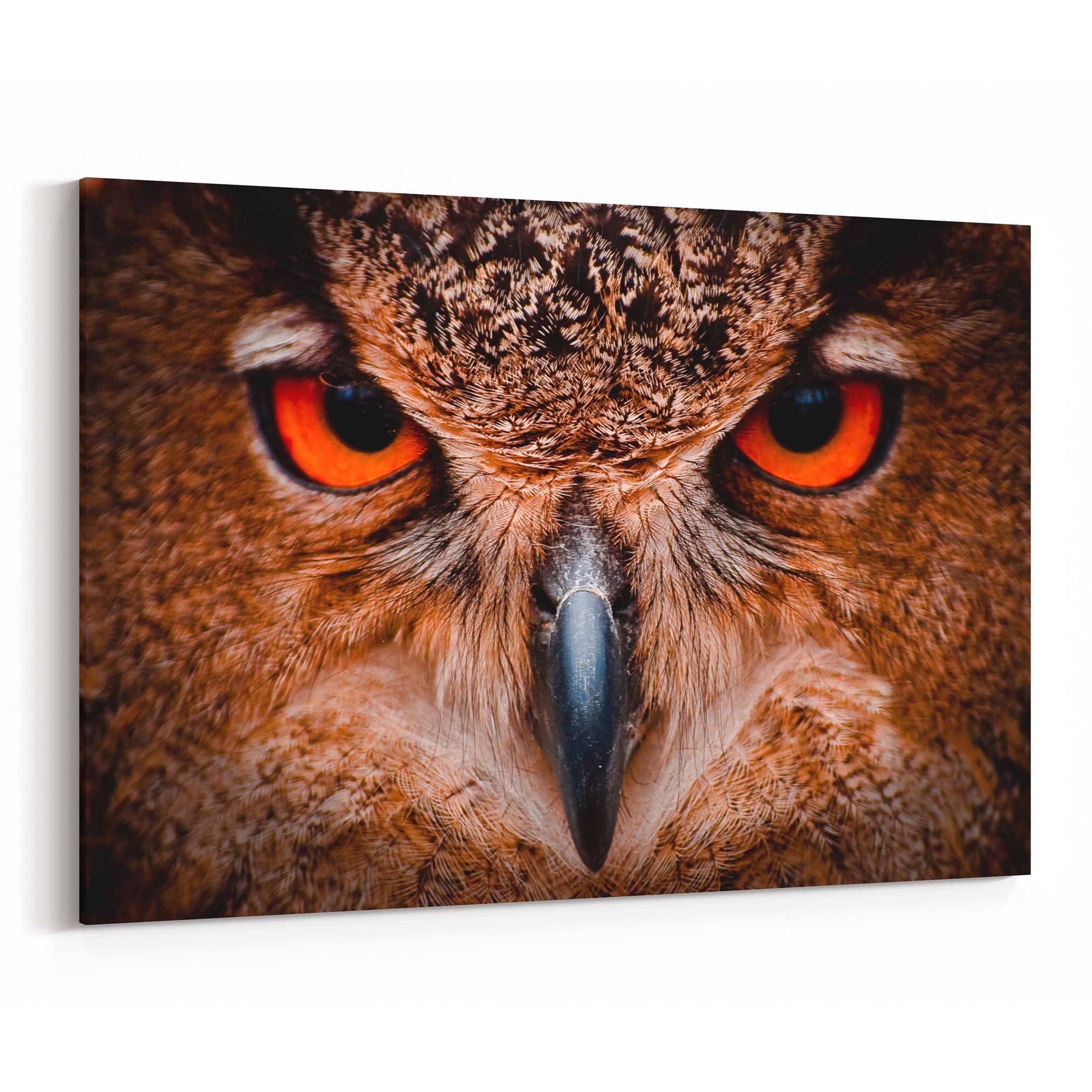 Owl Eyes Canvas Print Owl Eyes Wall Art Canvas Multiple Sizes Etsy