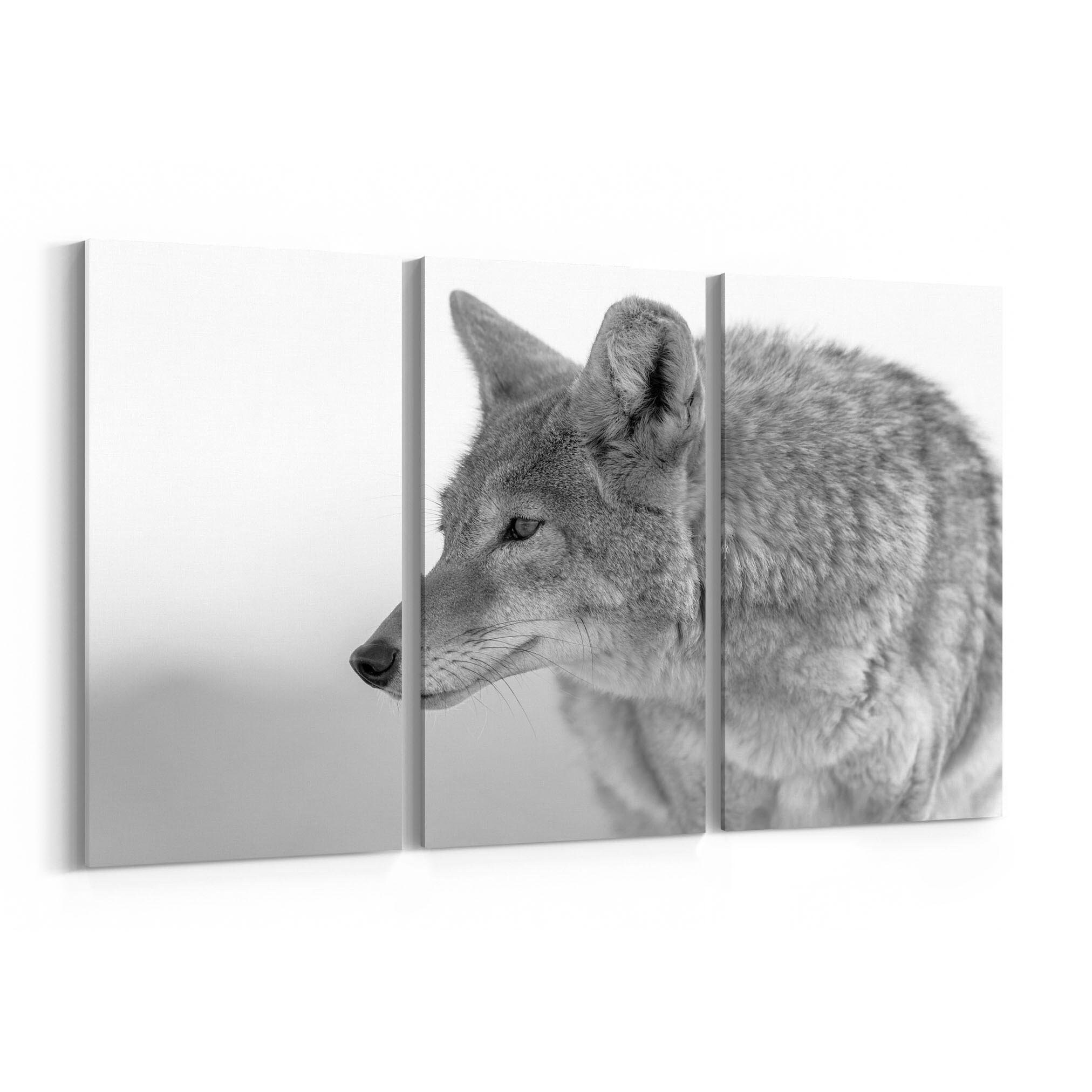 Coyote Canvas Print Coyote Wall Art Canvas Multiple Sizes Etsy