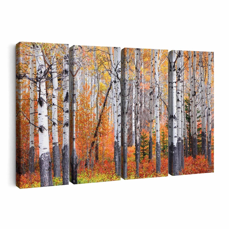 Aspen Trees Wall Art Aspen Trees Canvas Art multiple Etsy