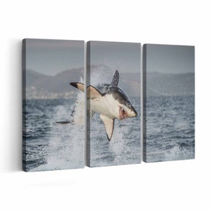 White Shark Canvas print || White Shark Wall Art || White Shark Poster || White Shark home decor || White Shark Print