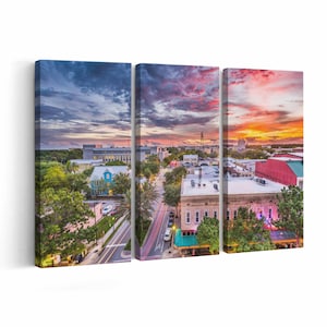 Gainesville Skyline Canvas print || Gainesville Skyline Wall Art || Gainesville Skyline Poster || Gainesville Skyline home decor || Gainesvi