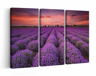 Lavender Field wall art | Canvas or Poster Print (framed) | Color / Black & White