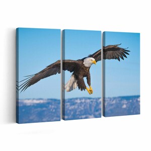 Bald Eagle Canvas print || Bald Eagle Wall Art || Bald Eagle Poster || Bald Eagle home decor || Bald Eagle Print