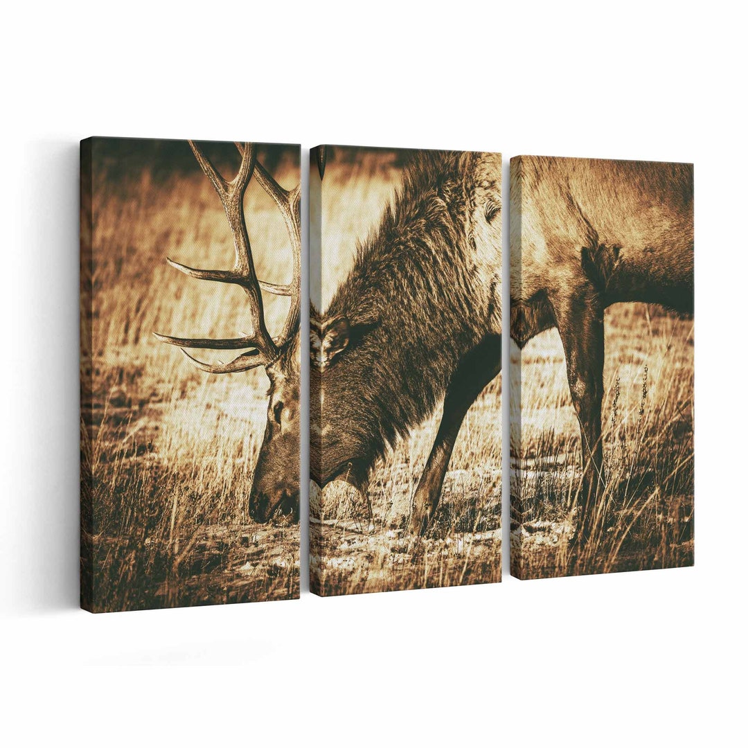 Elk Canvas Print || Elk Wall Art || Elk Poster || Elk Home Decor || Elk ...