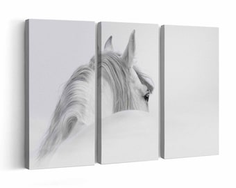 White Horse | Canvas or Poster Print (framed) | Color / Black & White