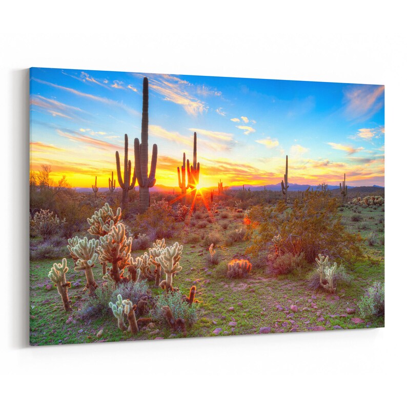 Sonoran Desert Canvas Print Sonoran Desert Wall Art Canvas Etsy