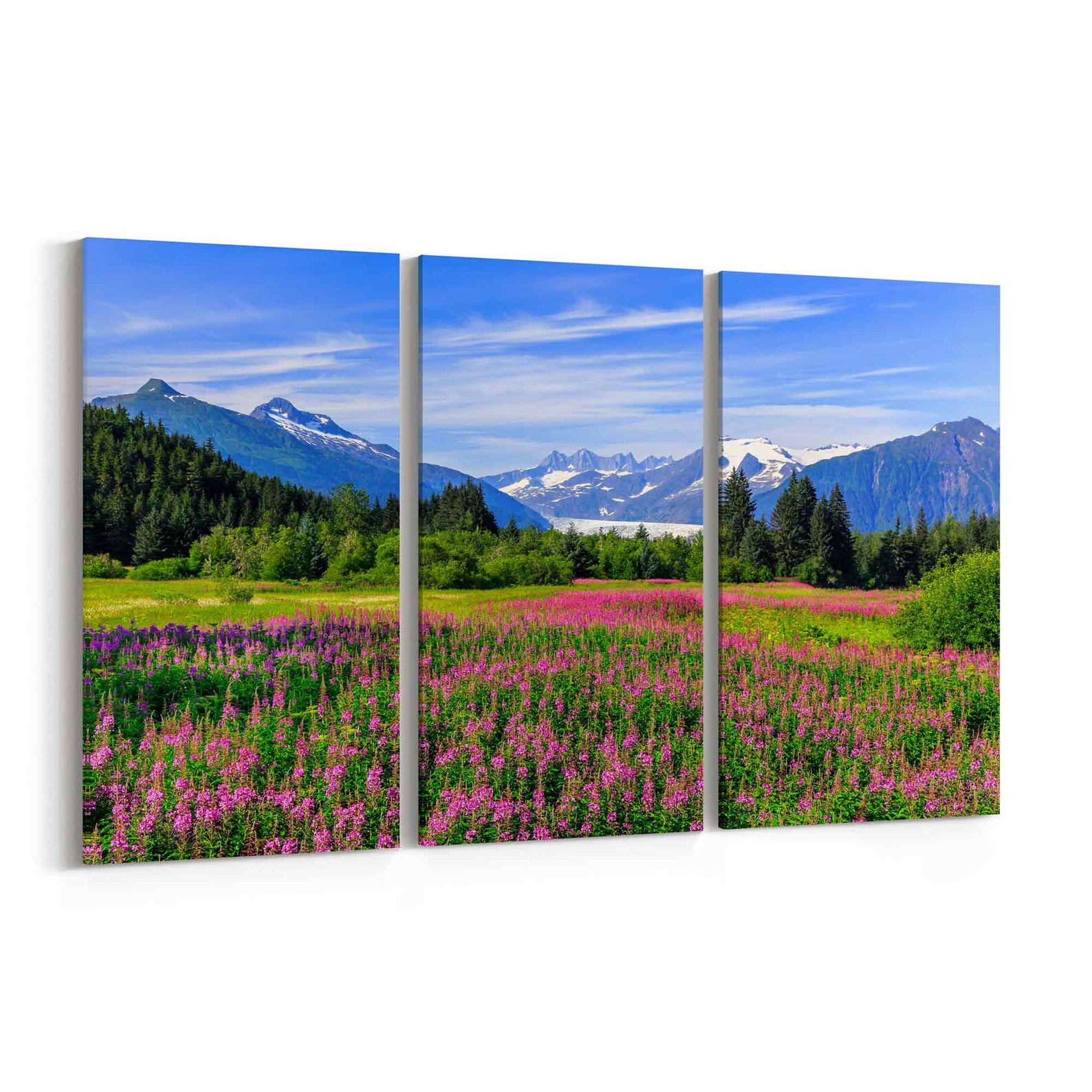 Juneau Alaska Canvas Print Juneau Alaska Wall Art Etsy